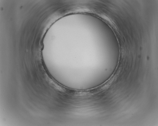 X0000069841374200606021351