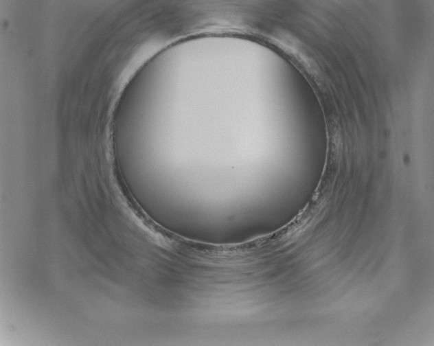 X0000069841375200606021351