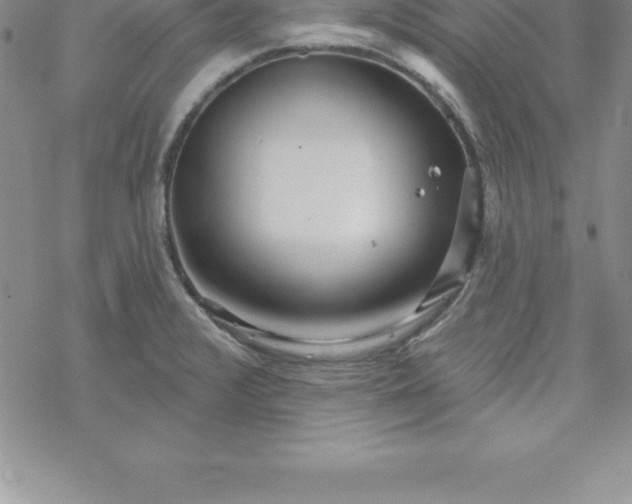 X0000069841376200606021351