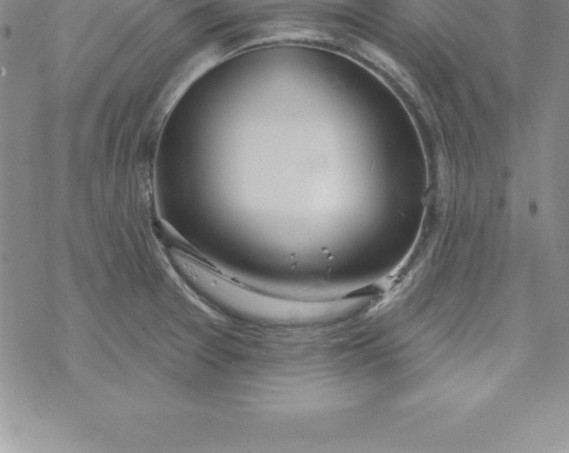 X0000069841377200606021351