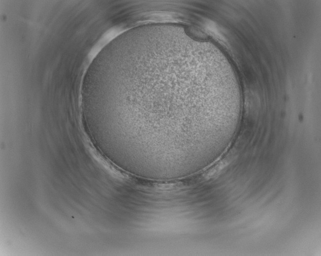 X0000069841378200606021350