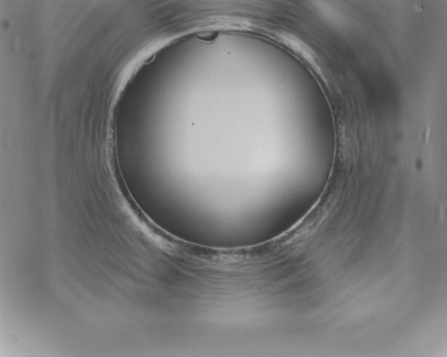 X0000069841379200606021350