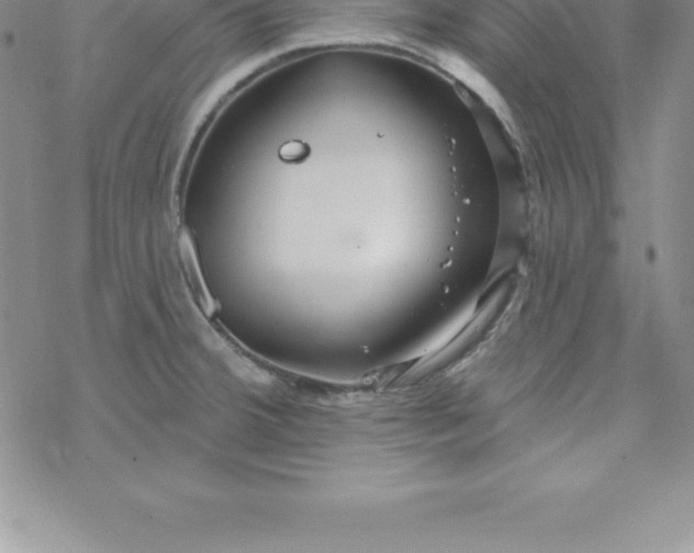 X0000069841380200606021350