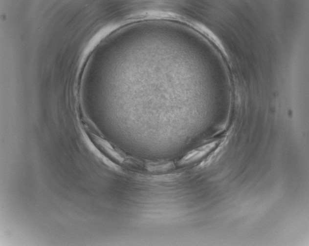 X0000069841381200606021350