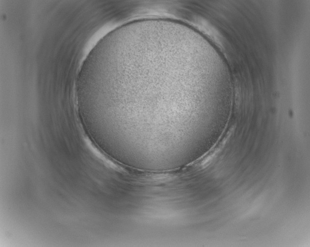 X0000069841382200606021350