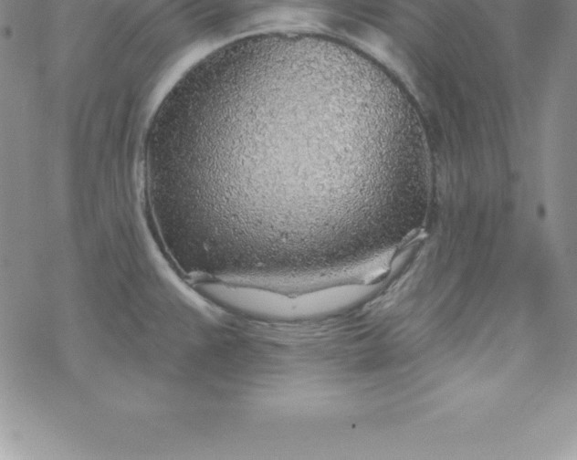 X0000069841383200606021350