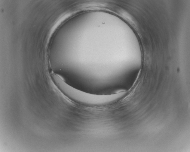 X0000069841384200606021350