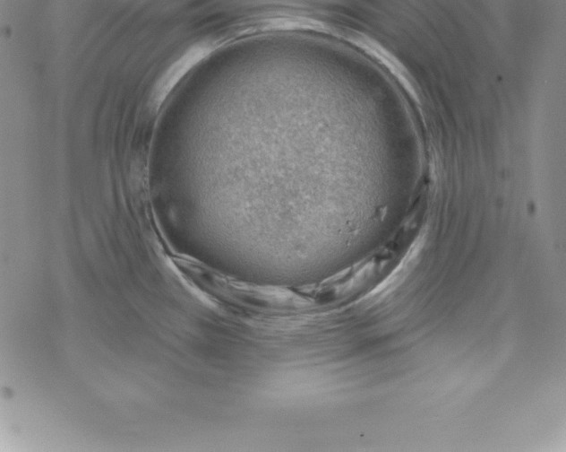 X0000069841385200606021350