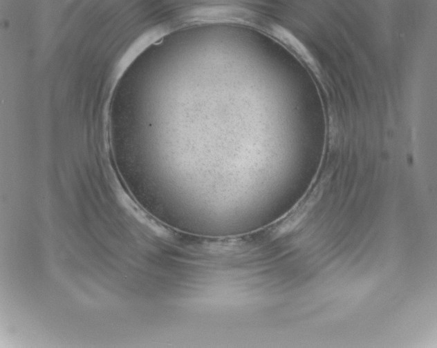 X0000069841386200606021350