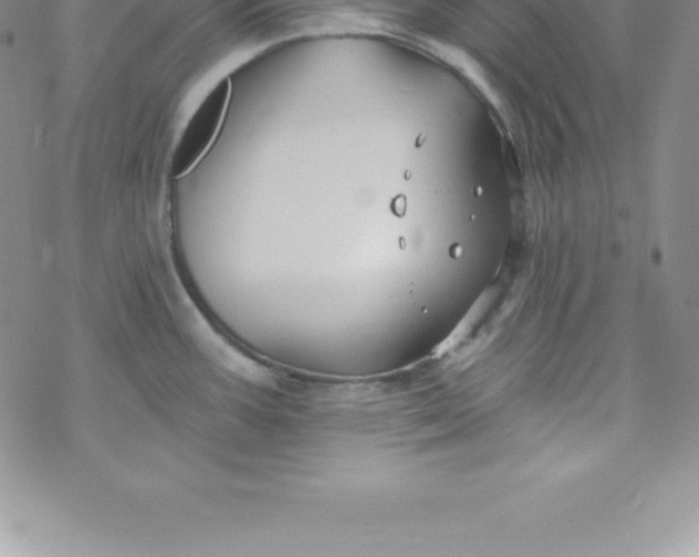 X0000069841387200606021350