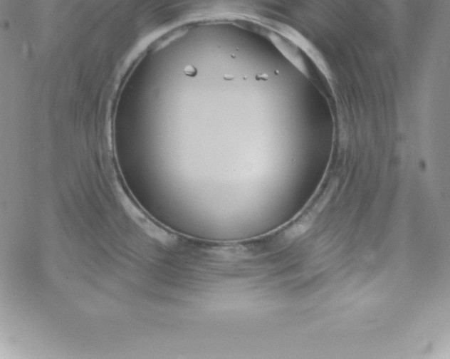 X0000069841388200606021350