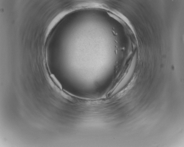 X0000069841389200606021350