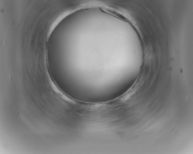 X0000069841390200606021350