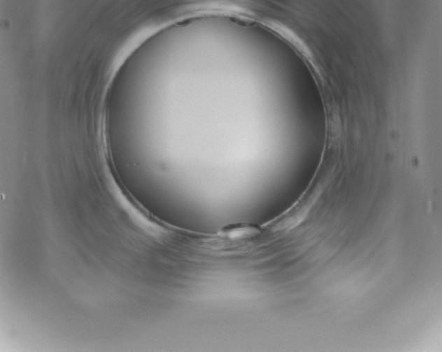 X0000069841391200606021350