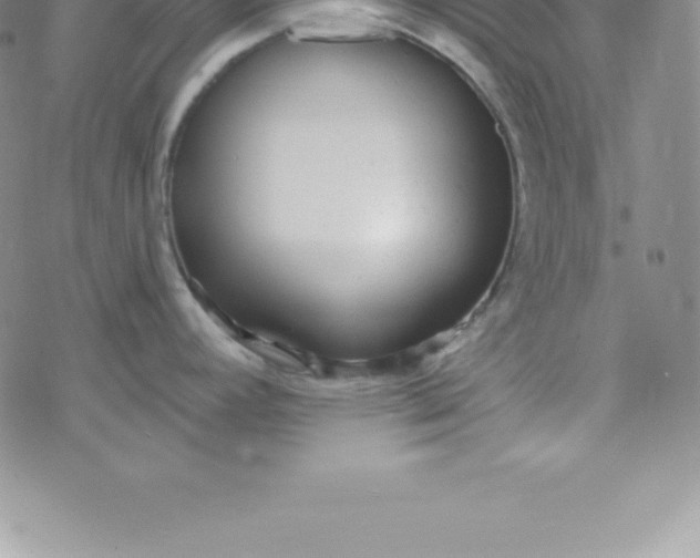 X0000069841392200606021350