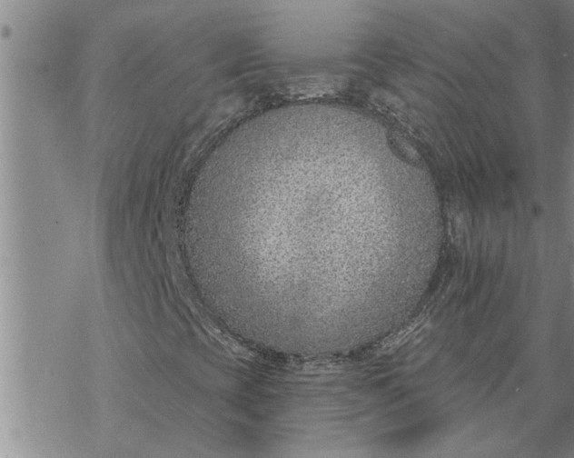 X0000069841393200606021349