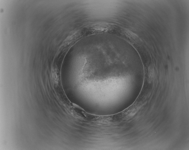 X0000069841394200606021350