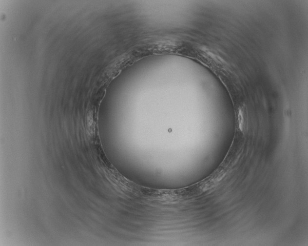 X0000069841395200606021350