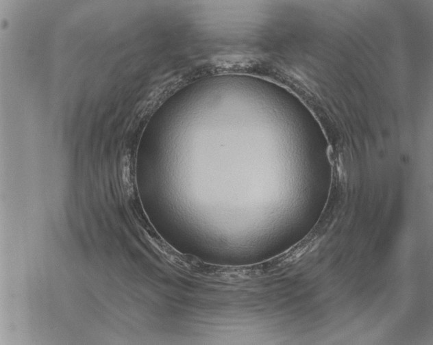 X0000069841396200606021350