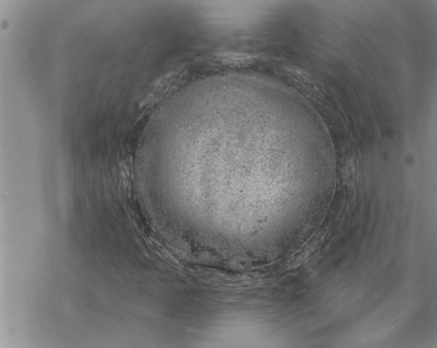 X0000069841397200606021350