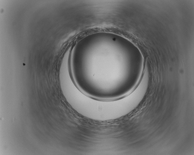 X0000069841398200606021350