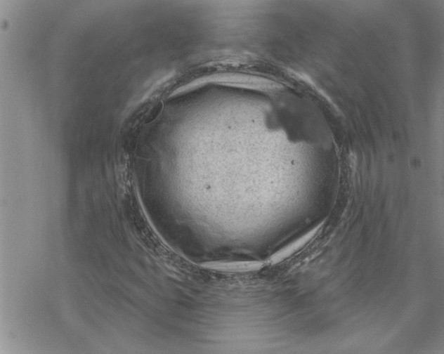 X0000069841399200606021350