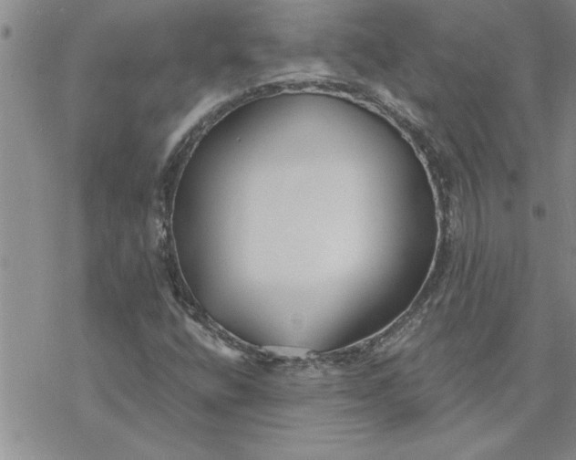 X0000069841400200606021350