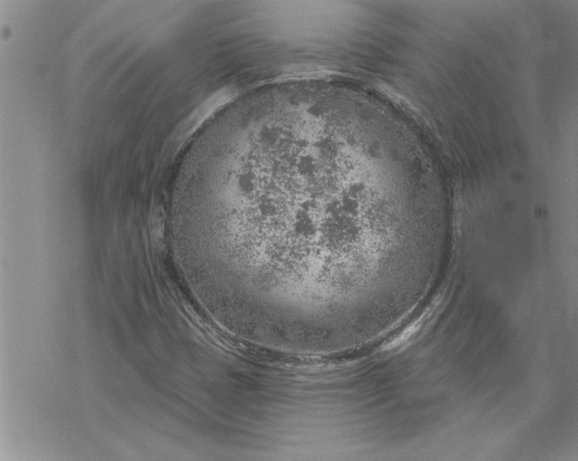 X0000069841401200606021350