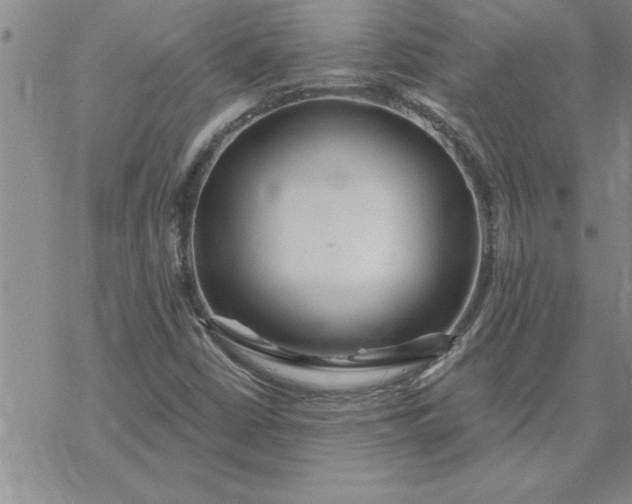 X0000069841402200606021350