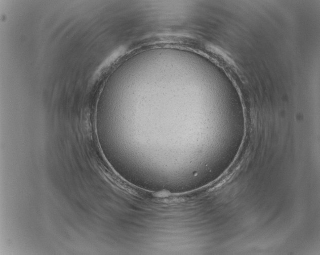 X0000069841403200606021350