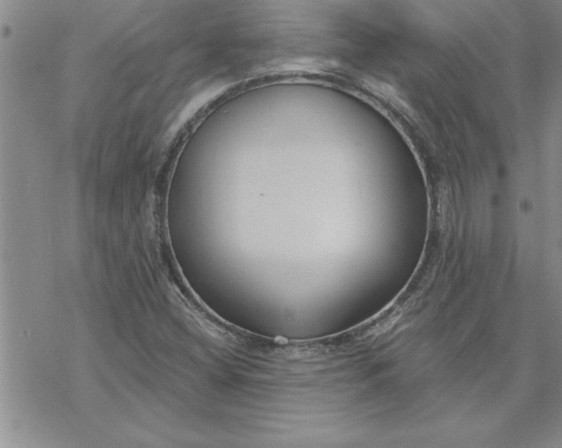 X0000069841404200606021350