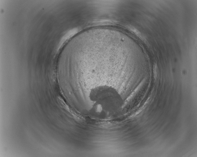 X0000069841405200606021350