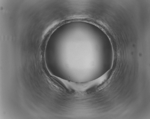 X0000069841406200606021350