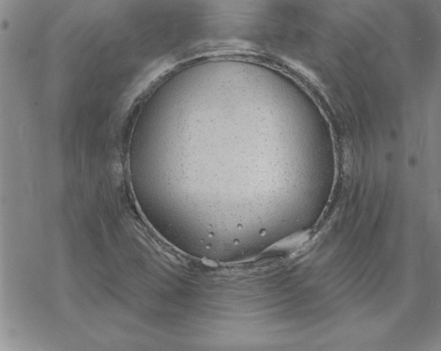 X0000069841407200606021350