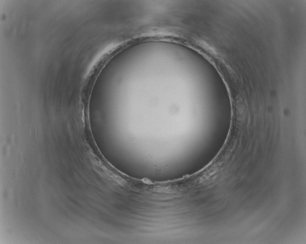 X0000069841408200606021350