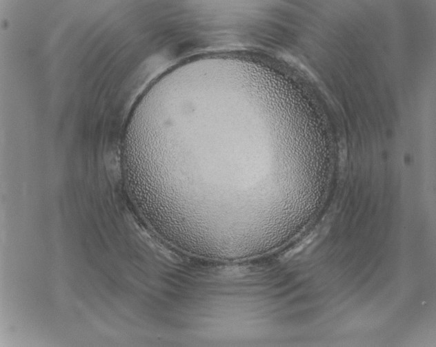 X0000069841409200606021350