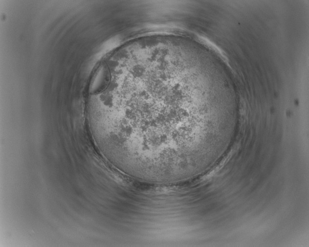 X0000069841411200606021350