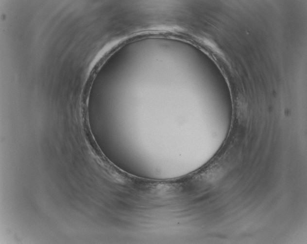 X0000069841412200606021350