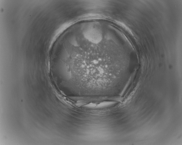 X0000069841413200606021350