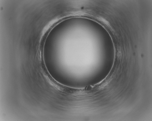 X0000069841414200606021350