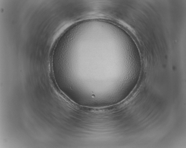 X0000069841415200606021350