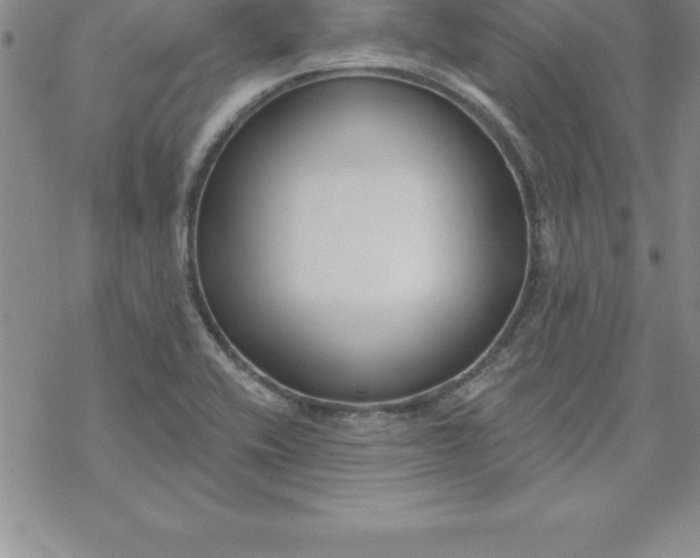 X0000069841416200606021350