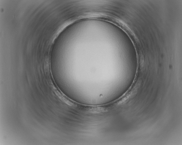 X0000069841417200606021350