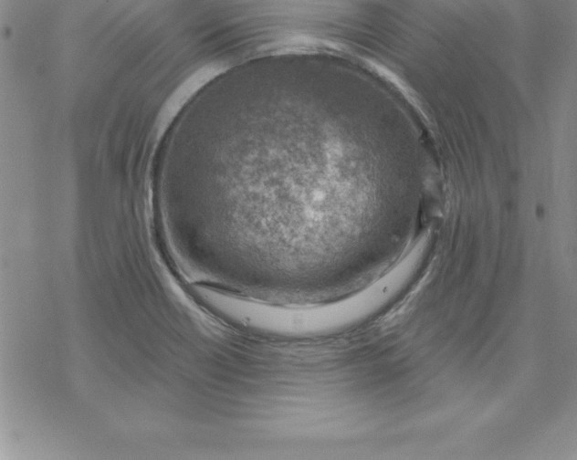 X0000069841418200606021350