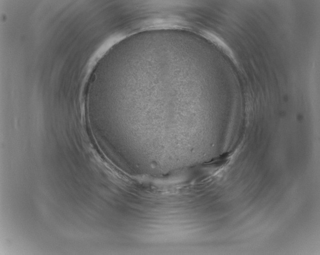 X0000069841419200606021350