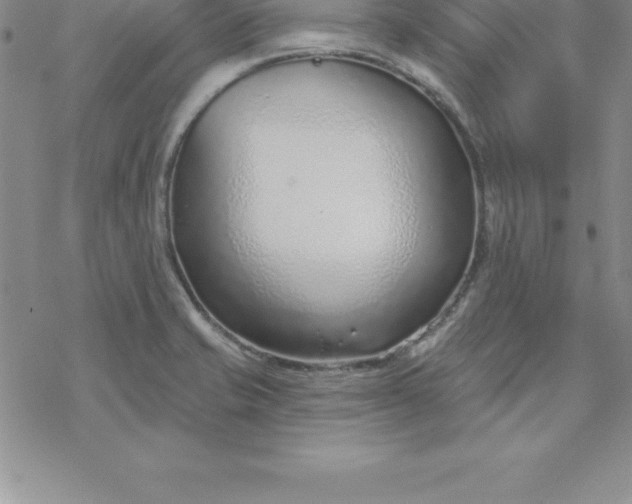 X0000069841421200606021350