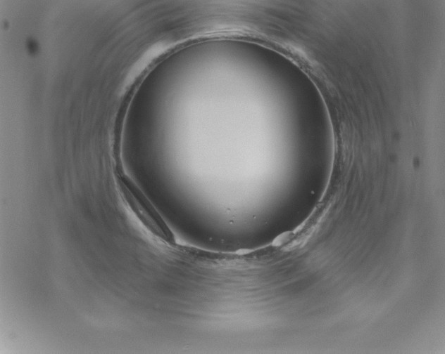 X0000069841422200606021350