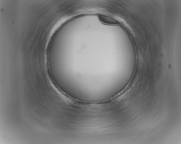 X0000069841424200606021350