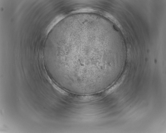 X0000069841425200606021350