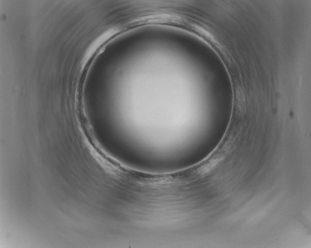 X0000069841426200606021350